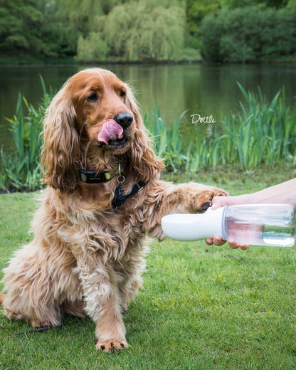 WaterBuddy™ | De Ideale Hydratatieoplossing Voor Je Huisdier!