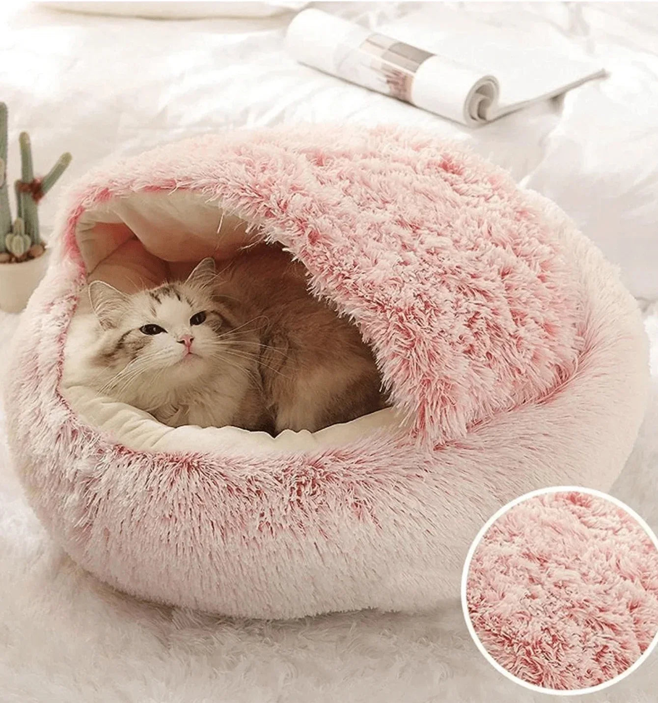 Cozy Lounge Bed