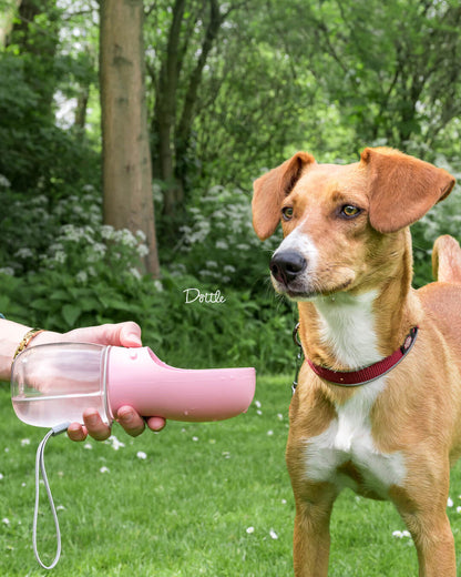 WaterBuddy™ | De Ideale Hydratatieoplossing Voor Je Huisdier!